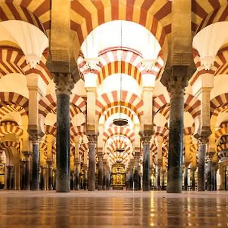 Apartment Estudio Acogedor Cercano A Mezquita *